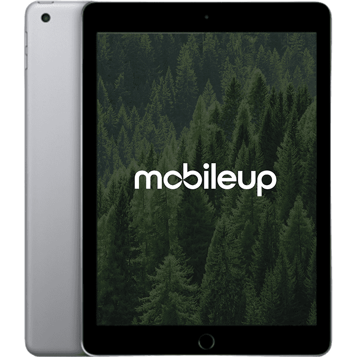 Apple iPad 2017 (5. Gen)
