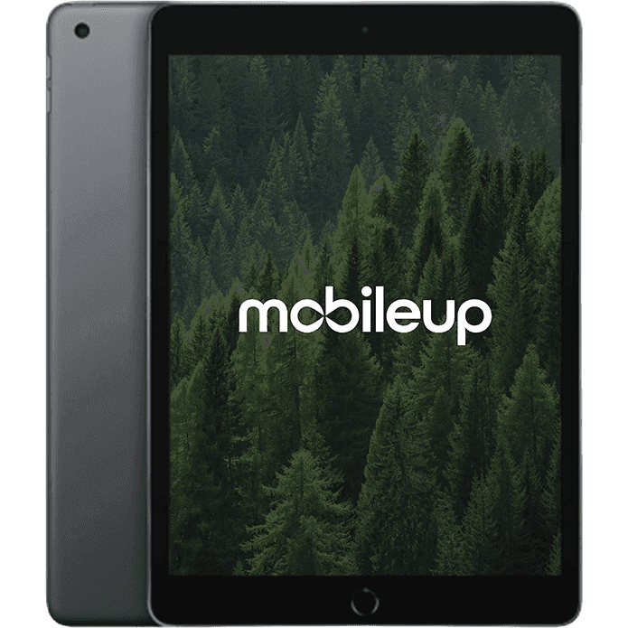 Apple iPad 2020 (8. Gen)