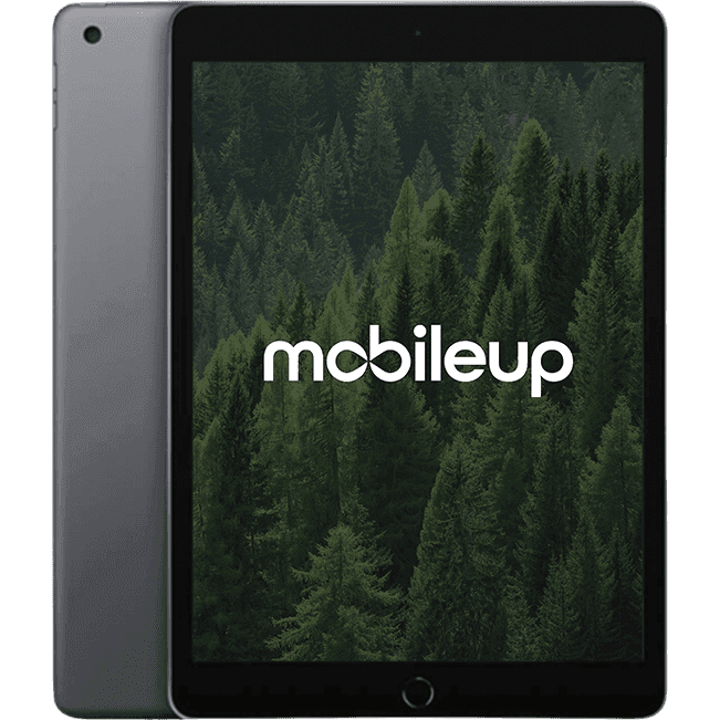 Apple iPad 2021 (9. Gen)